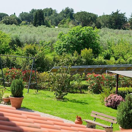 Villa Mandrioli Cecina  Exterior photo
