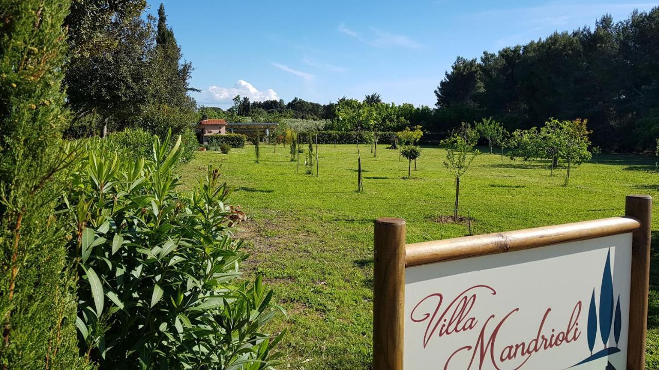 Villa Mandrioli Cecina  Exterior photo