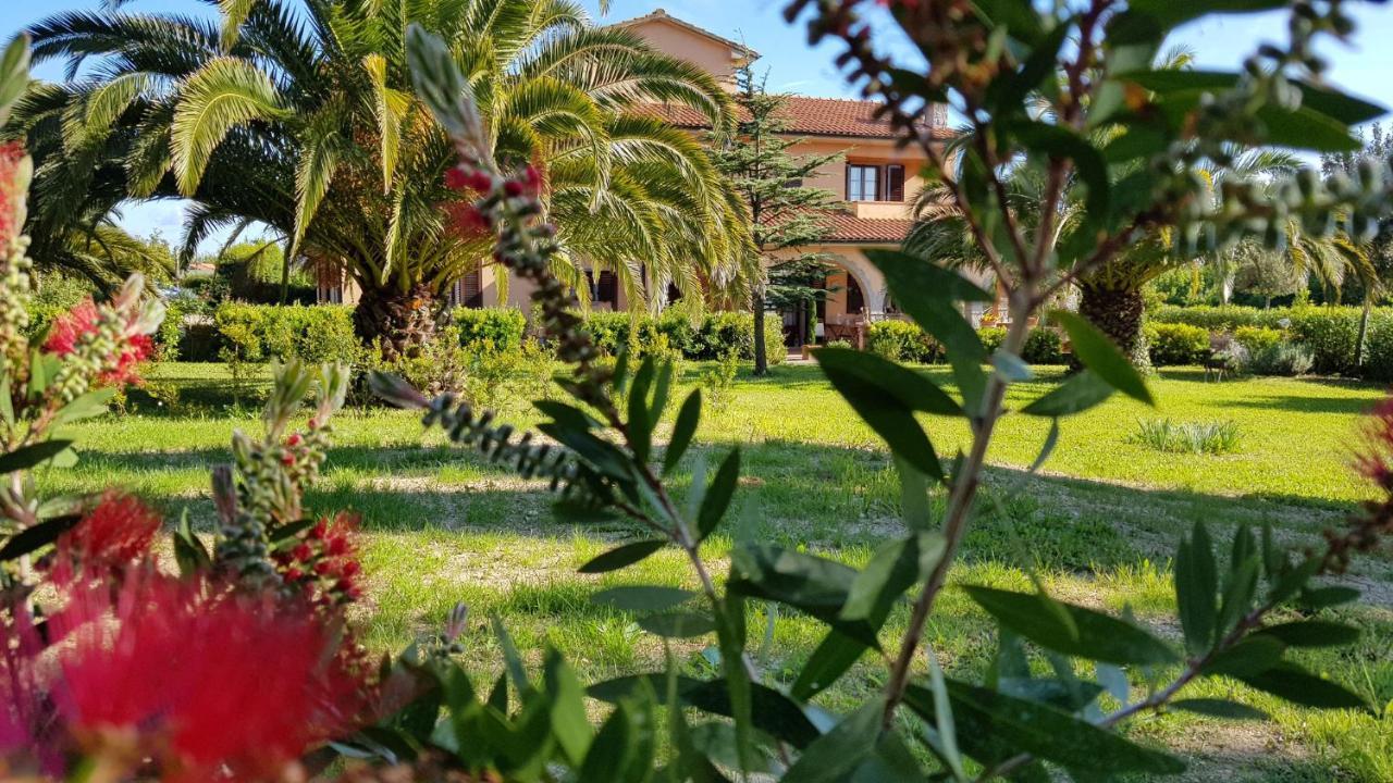 Villa Mandrioli Cecina  Exterior photo