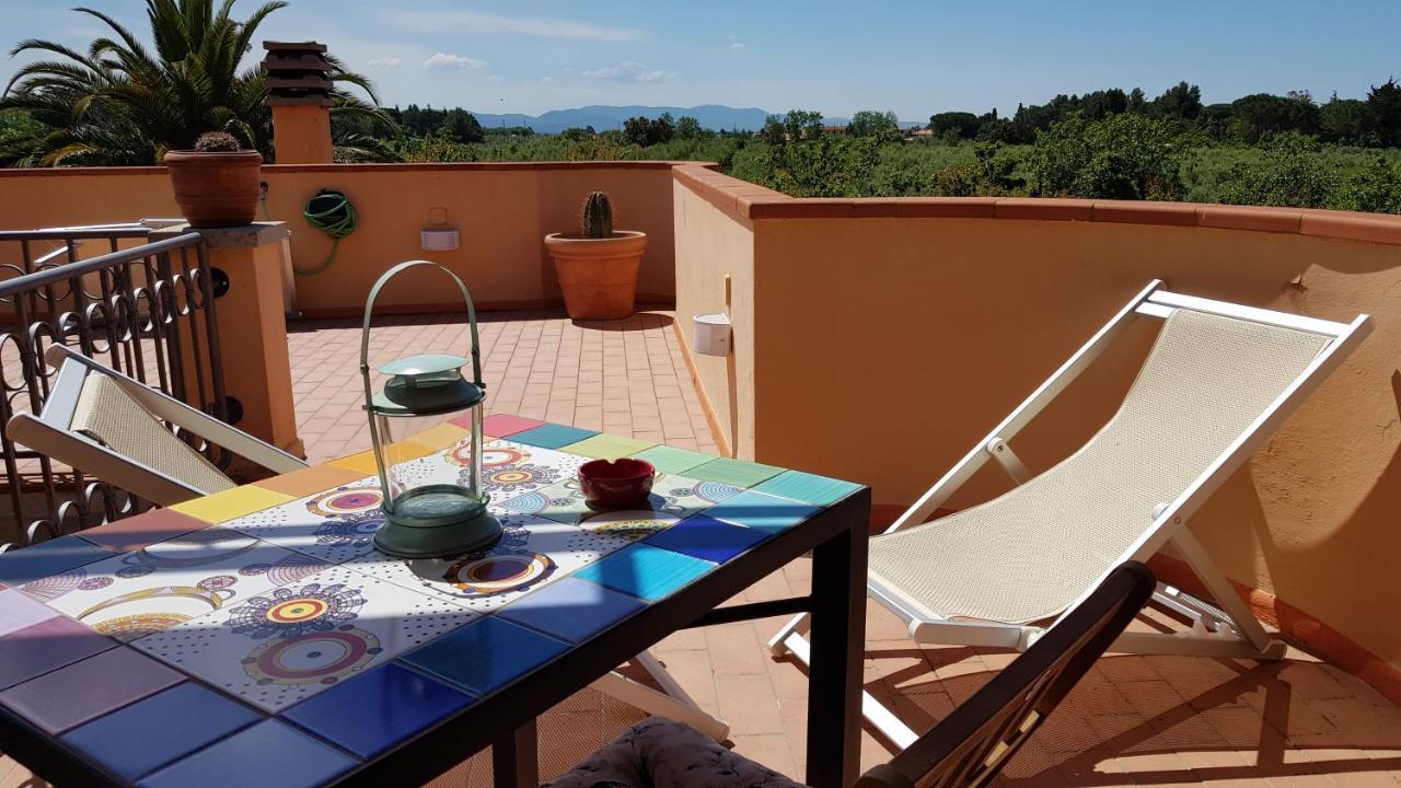 Villa Mandrioli Cecina  Exterior photo